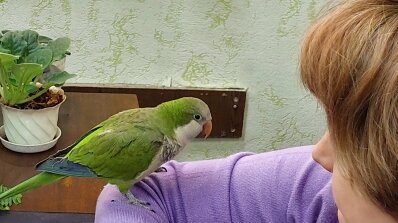 АТ «Вінницяобленерго» – personal account, transmit meter readings, call center 0 (800) 217-217 Позитив серед нас_3