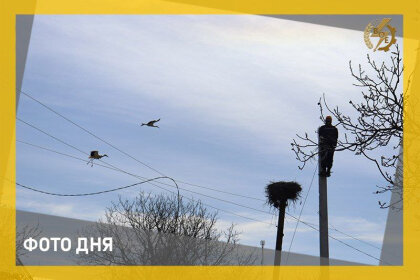АТ «Вінницяобленерго» – personal account, transmit meter readings, call center 0 (800) 217-217 Замінюємо електроопори_0