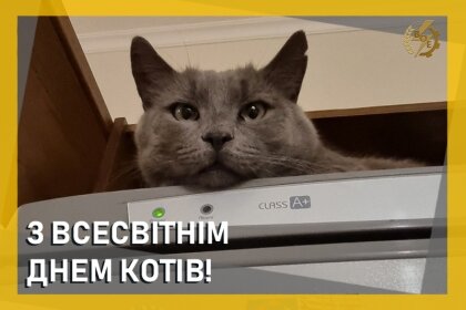АТ «Вінницяобленерго» – personal account, transmit meter readings, call center 0 (800) 217-217 З всесвітнім днем котів!_0