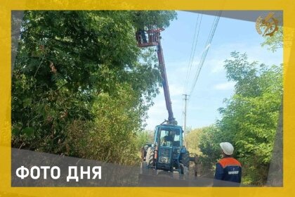АТ «Вінницяобленерго» – personal account, transmit meter readings, call center 0 (800) 217-217 Розчистка трас ЛЕП триває_0