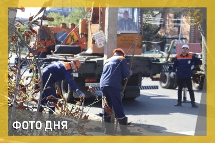 АТ «Вінницяобленерго» – personal account, transmit meter readings, call center 0 (800) 217-217 Фото дня_0