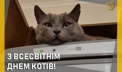АТ «Вінницяобленерго» – personal account, transmit meter readings, call center 0 (800) 217-217 News_11