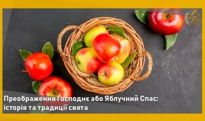 АТ «Вінницяобленерго» – personal account, transmit meter readings, call center 0 (800) 217-217 News_11