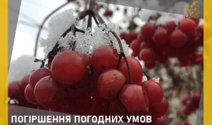 АТ «Вінницяобленерго» – personal account, transmit meter readings, call center 0 (800) 217-217 News_0