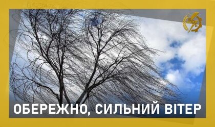 АТ «Вінницяобленерго» – personal account, transmit meter readings, call center 0 (800) 217-217 News_7